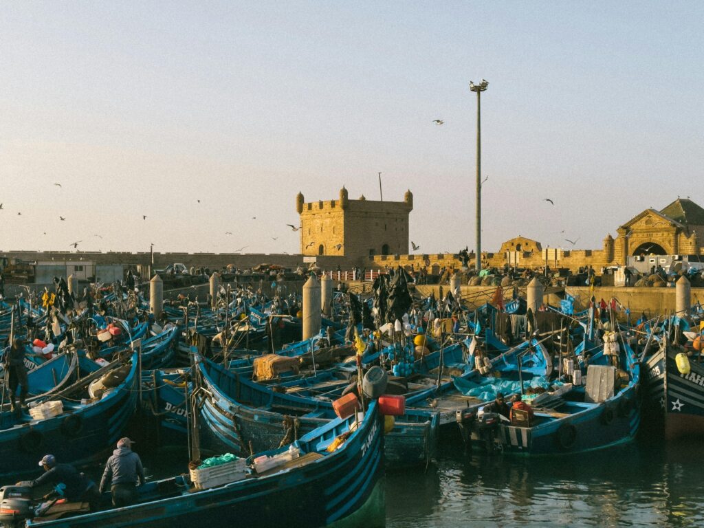 Fishing in Morocco: An Epic Guide to Top Spots & Seasons Fishing in Morocco: An Epic Guide to Top Spots & Seasons