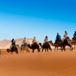 Camel caravan with tourists and local guides crossing sand dunes in the Merzouga Desert under a clear blue sky.